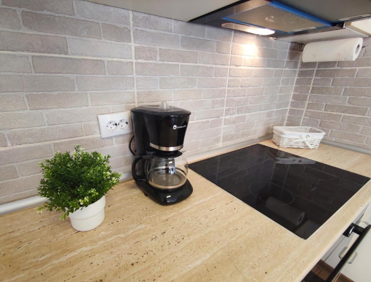 Green Studio Apartment